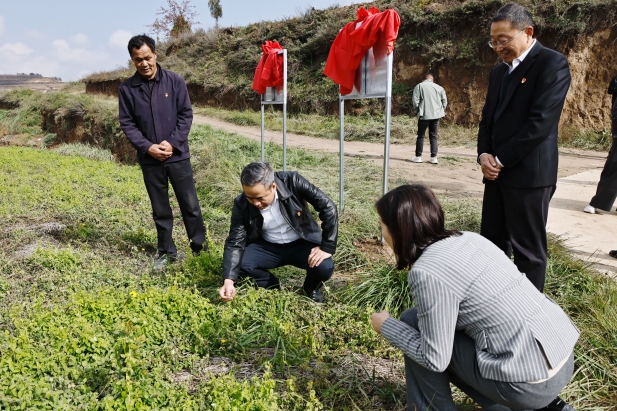 实地调研 (4).jpg